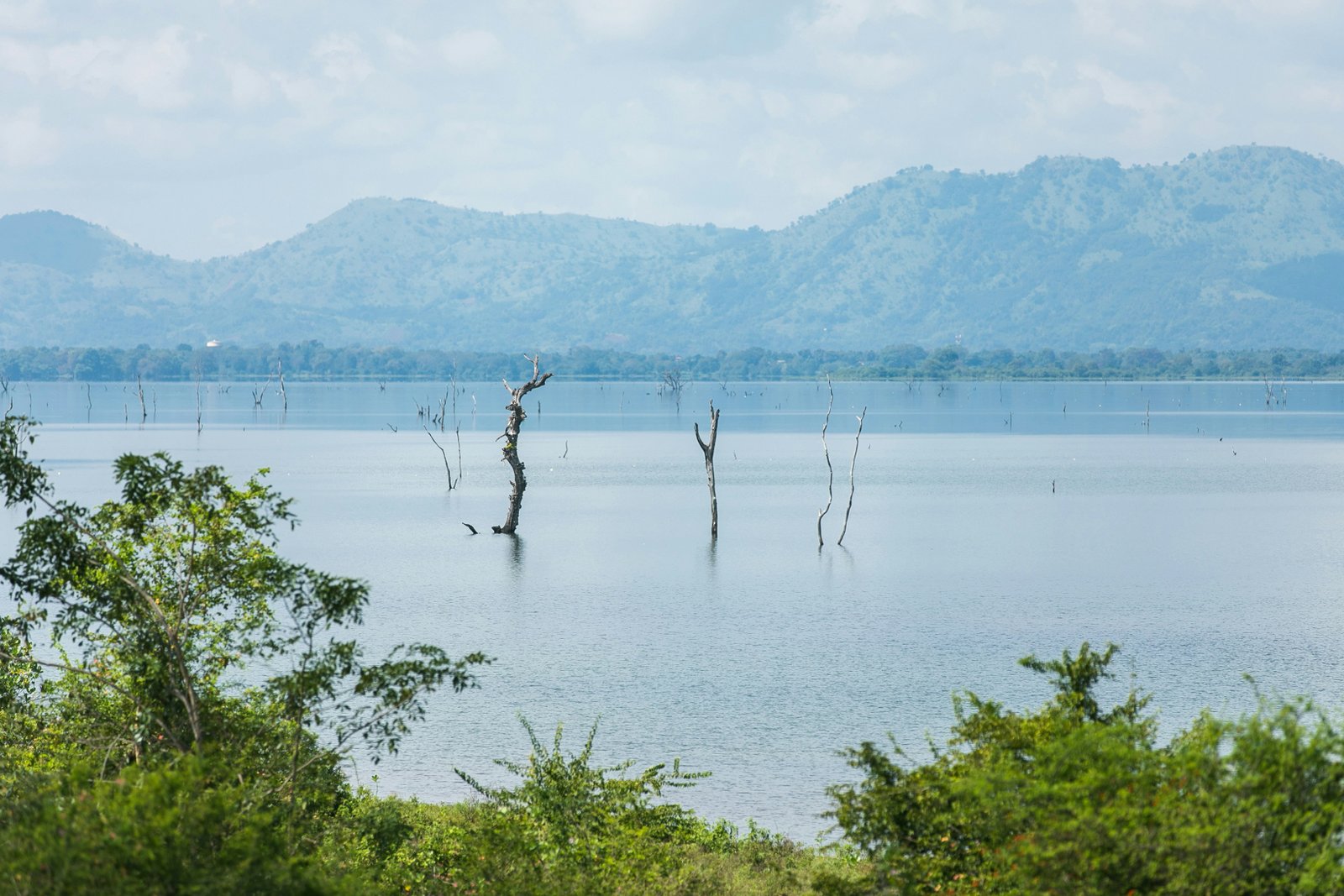 Lake Manyara National Park along the Great Rift Valley wall